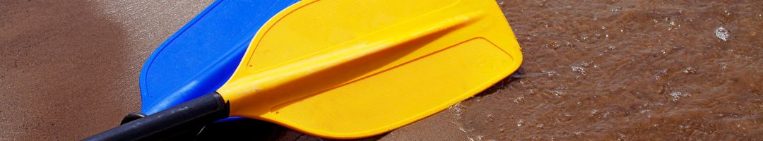 Paddelblätter in blau und gelb